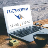 Практика закупок по ФЗ-223. Особенности закупок в электронной форме